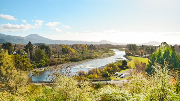 Tongariro River Trail Complete Guide – The Best Tūrangi Walk?