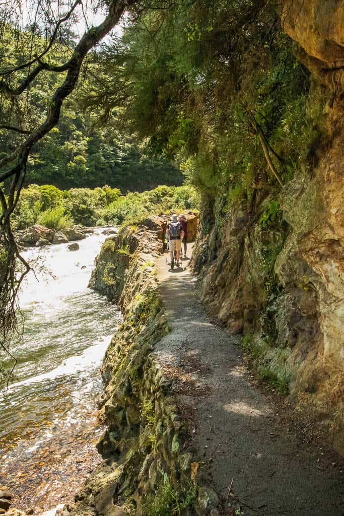 Concrete path cut into the steep gorge cliffs on the Karangahake Gorge Historic Walkway