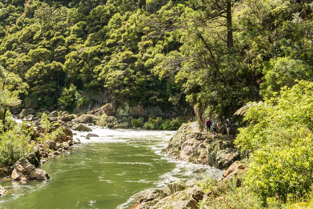 Ohinemuri River on the Karangahake Gorge Historic Walkway