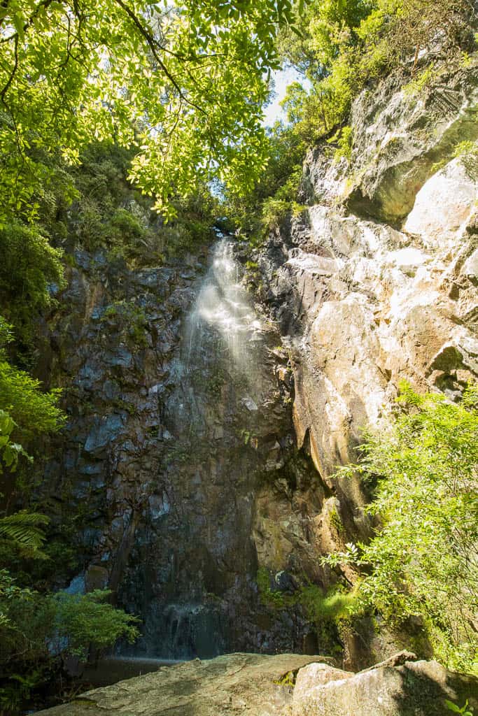 The unnamed Karangahake waterfall on a side trail from the Karangahake Gorge Historic Walkway.