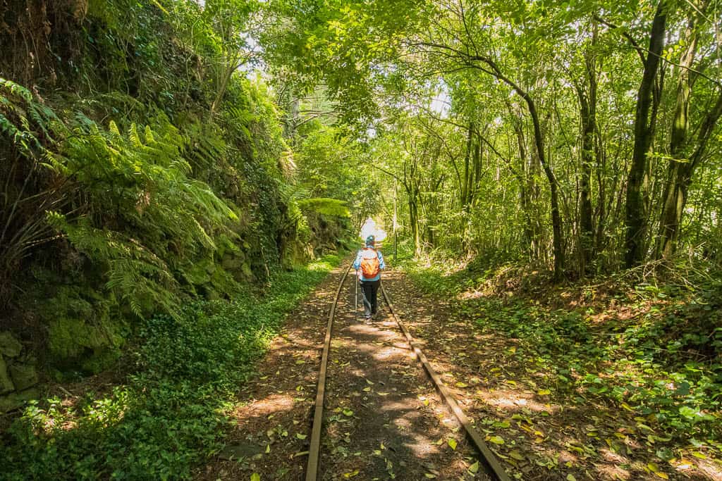 Hiker on the Karangahake Gorge Historic Walkway.