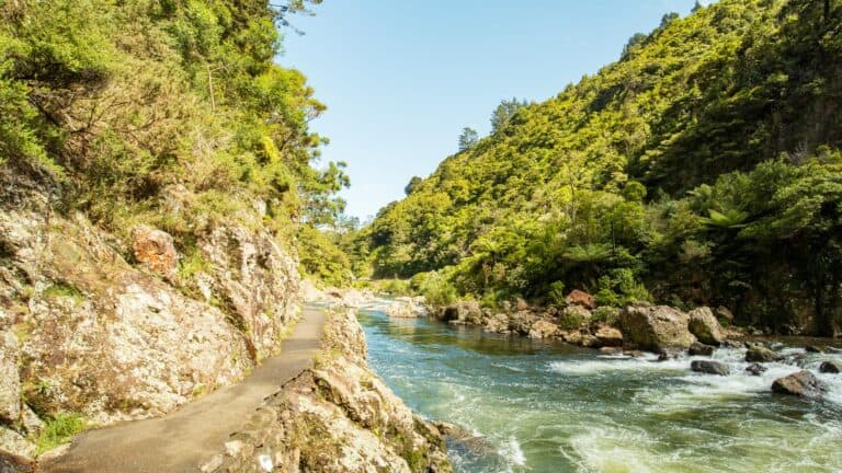 Karangahake Gorge Historic Walkway complete guide.