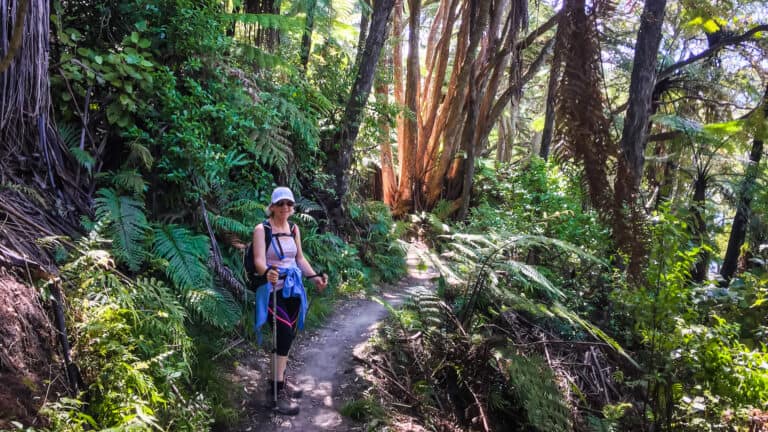 The Complete Tarawera Trail Guide.
