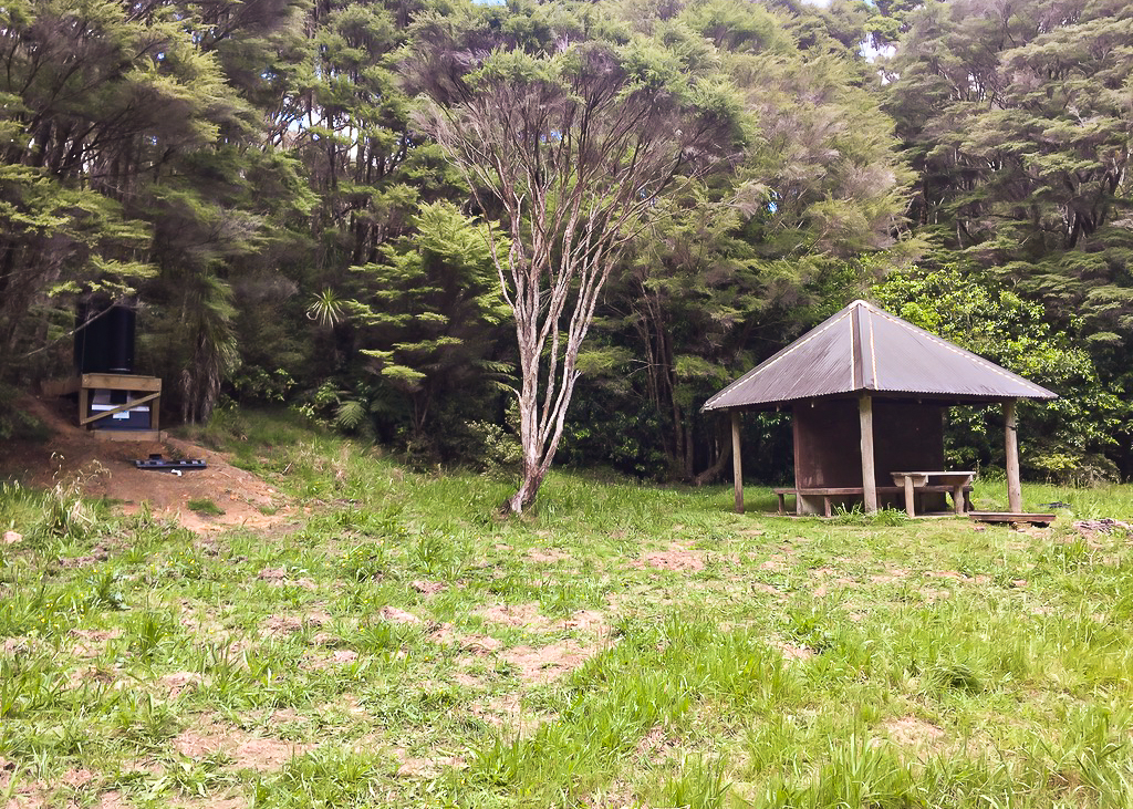 Russell Forest DOC Shelter - Te Araroa