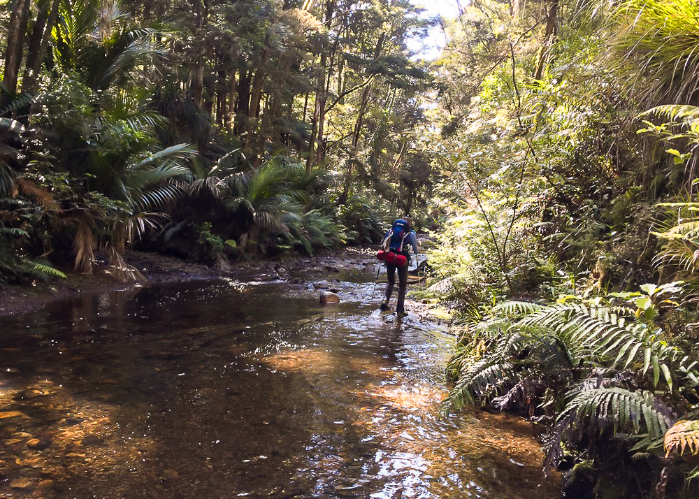 Russell Forest Hiking the Papakauri Stream - Te Araroa