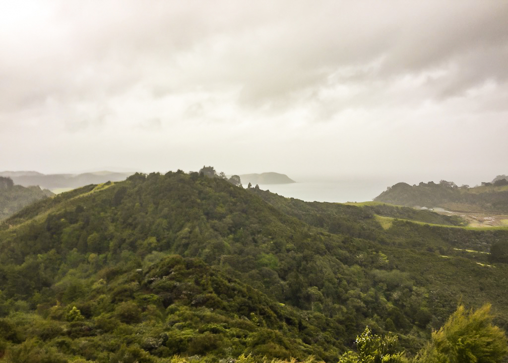 Helena Bay Ridge Track View - Te Araroa