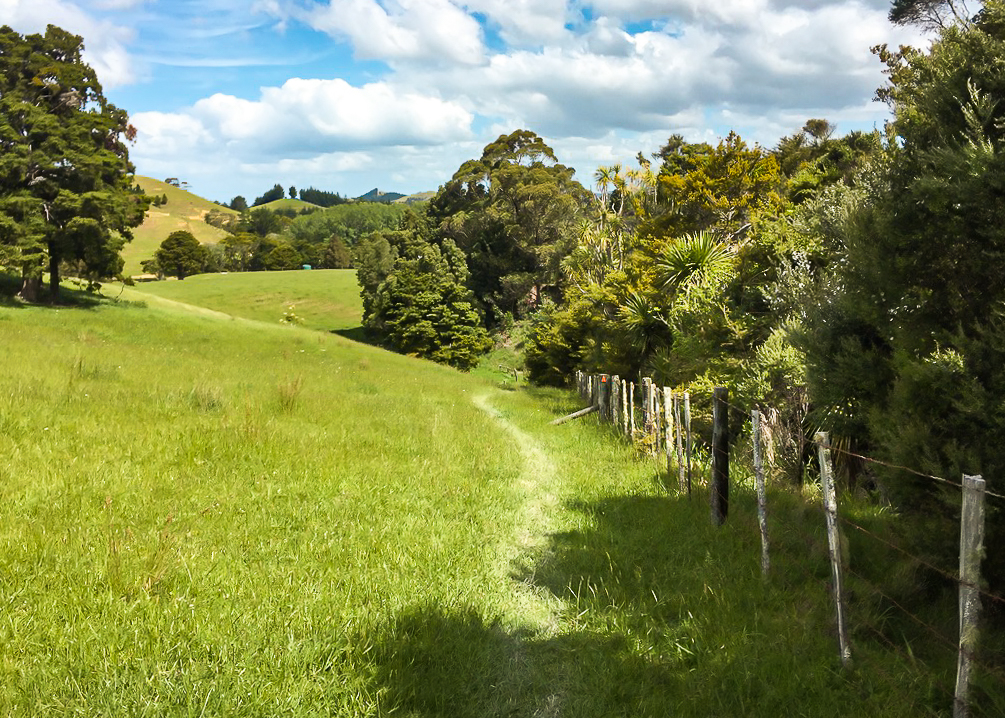 Onekainga Track End - Te Araroa