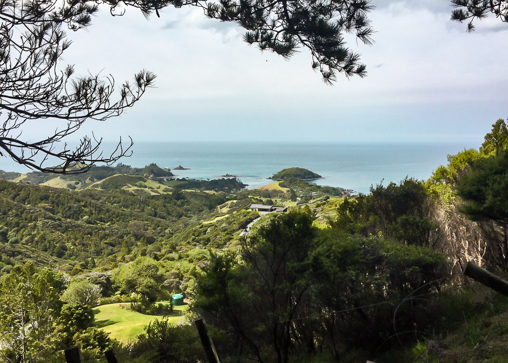 Onekainga Track Viewpoint - Te Araroa