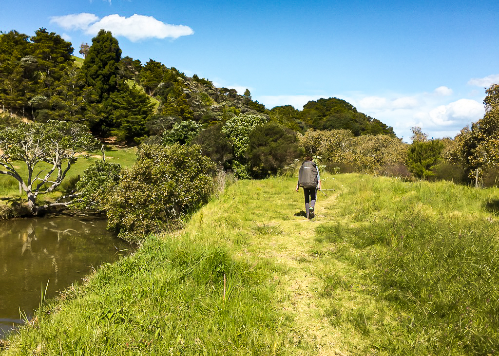 Whananaki Estuary Track - Te Araroa