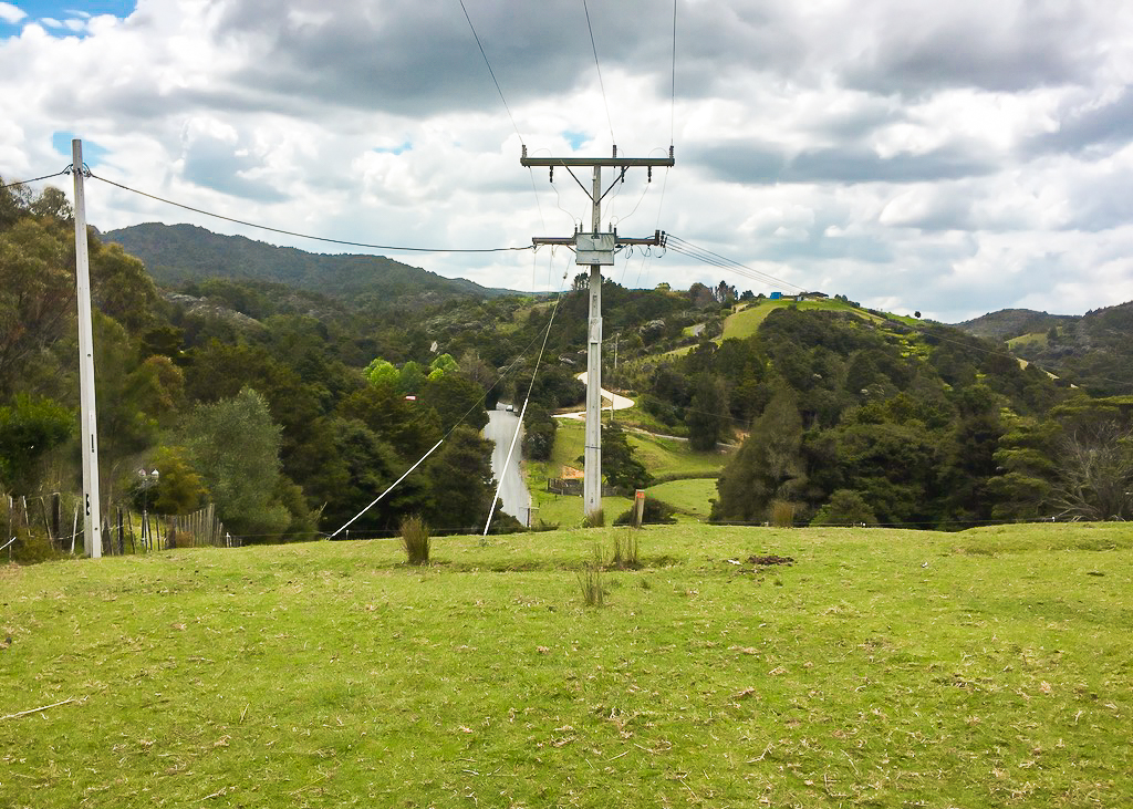 Final Paddock on the Matapouri Bush Track - Te Araroa