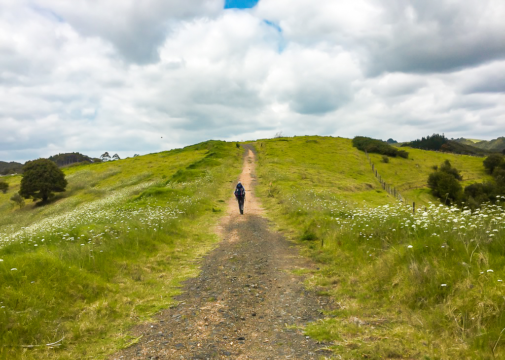 Matapouri Bush Track 4WD Track - Te Araroa