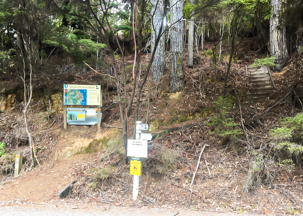 Matapouri Bush Track End - Te Araroa