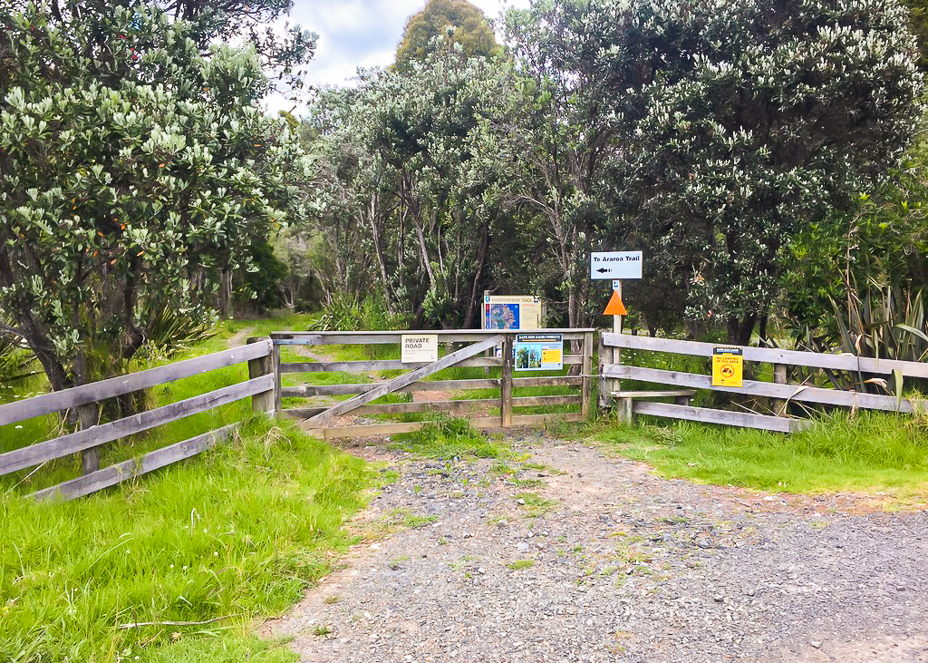 Matapouri Bush Track Start - Te Araroa