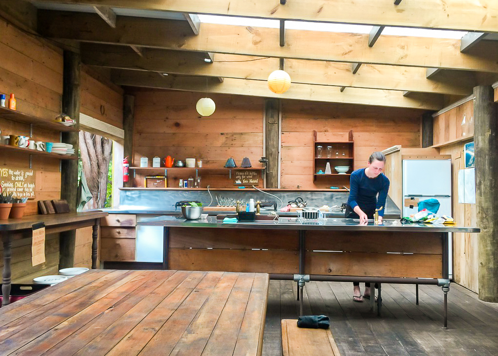 Nikau Bay Campsite Kitchen - Te Araroa