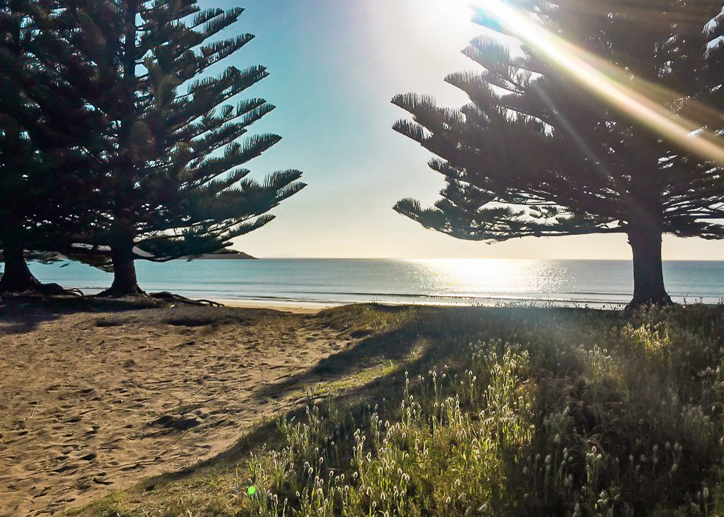 Sandy Bay Whananaki - Te Araroa