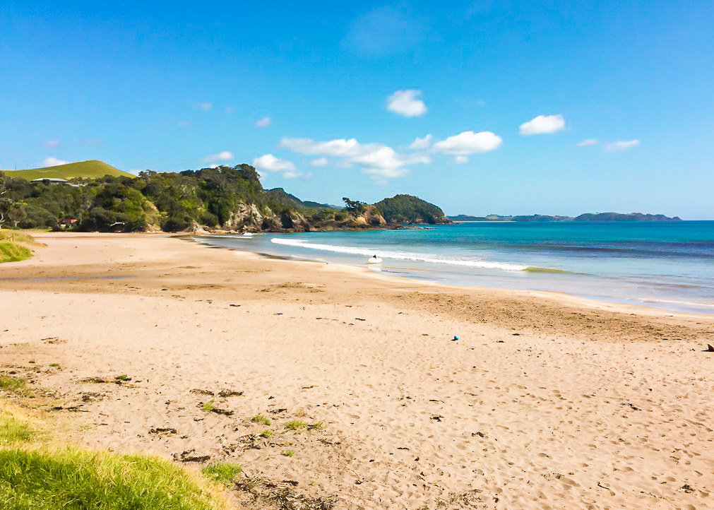 Surfer at Sandy Bay - Te Araroa