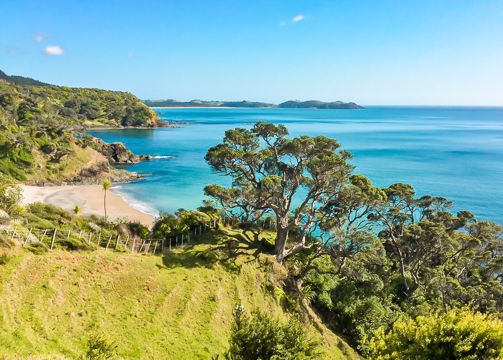 Whananaki Coastal Footpath View of Sandy Bay - Te Araroa