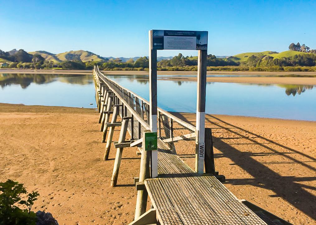 Whananaki Footbridge - Te Araroa