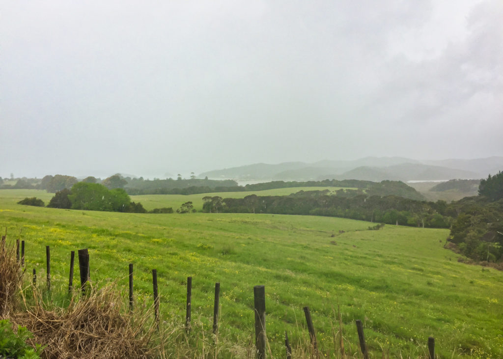 The View To Waitangi - Te Araroa.jpg