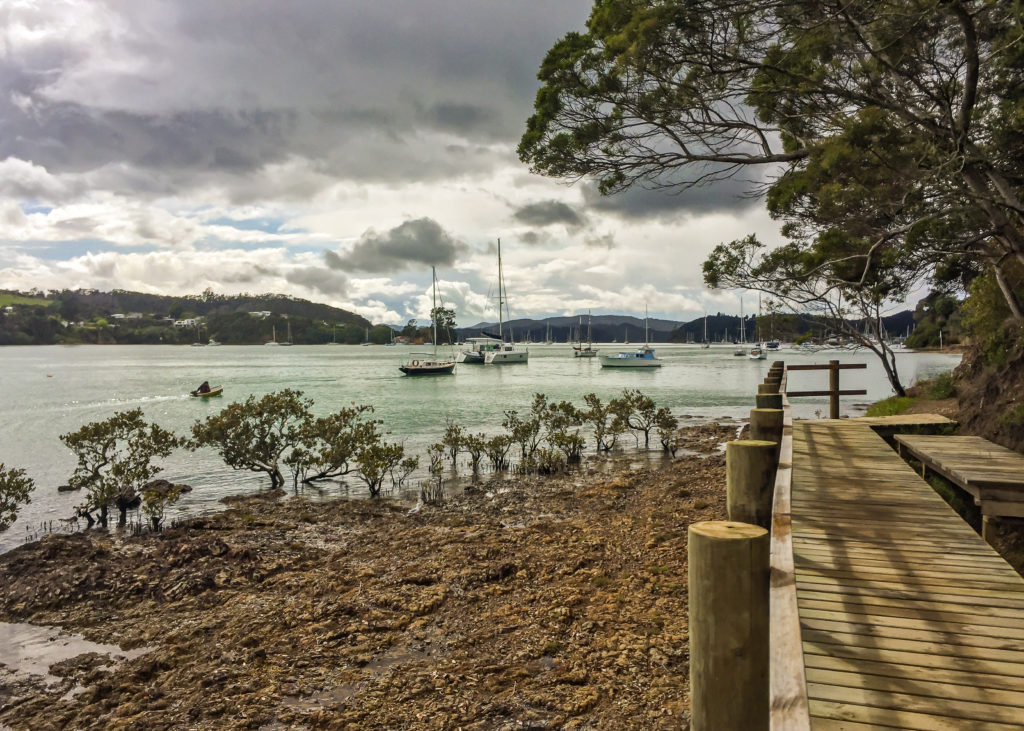 Paihia to Opua Walkway - Te Araroa.jpg