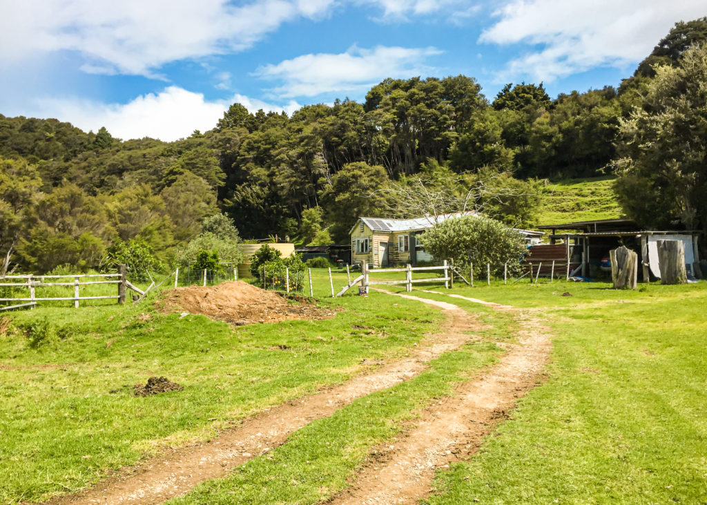 Sheryl's Place Waikare - Te Araroa.jpg