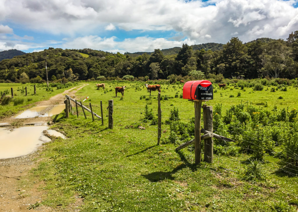 Sheryl's Red Letterbox in Waikare - Te Araroa.jpg