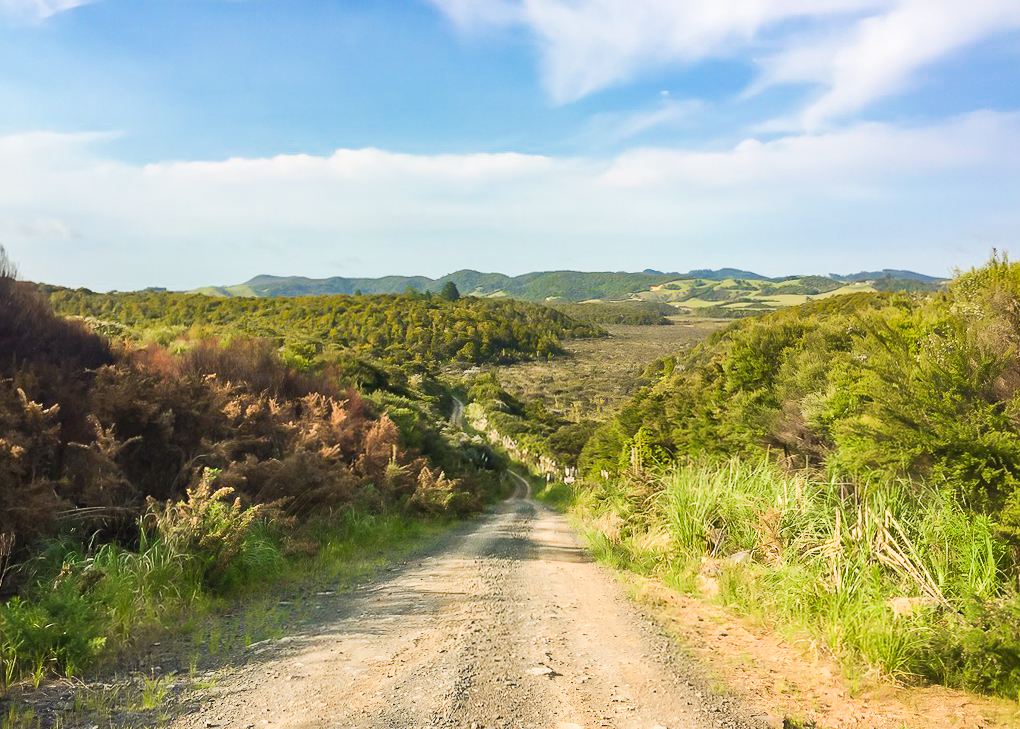 Backroads of Te Araroa Nikau Bay Maori Land - Te Araroa