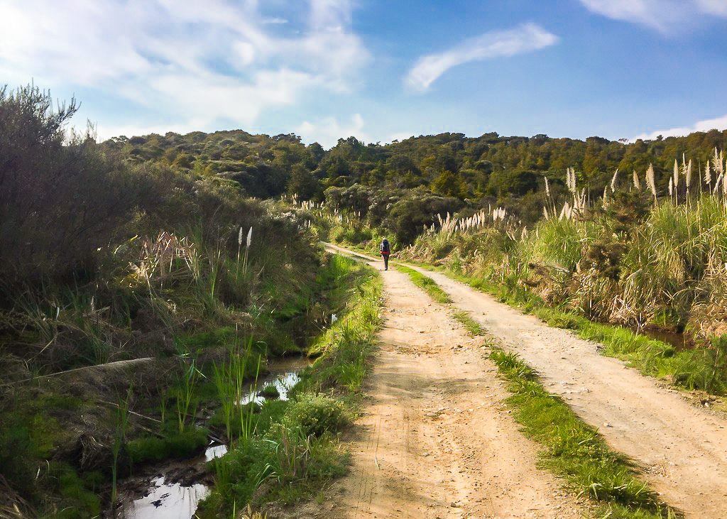 Backroads of Te Araroa - Te Araroa