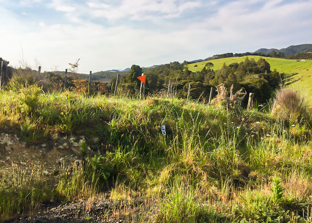 Conflicting Trail Markers - Te Araroa