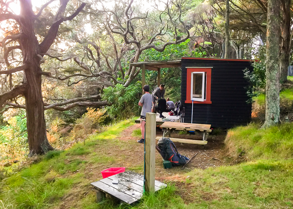 Hikers at Tidesong Cabin - Te Araroa