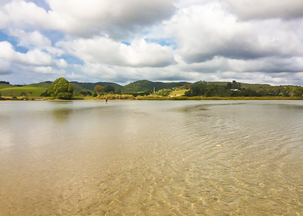 Horahora Estuary - Te Araroa