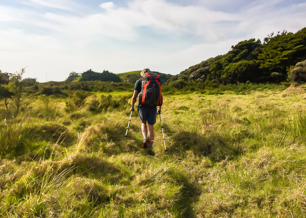 Long Grass Hiking - Te Araroa