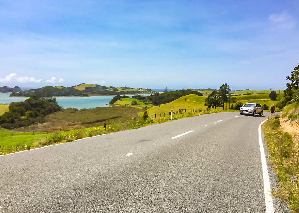 The Road Walk to Tidesong - Te Araroa