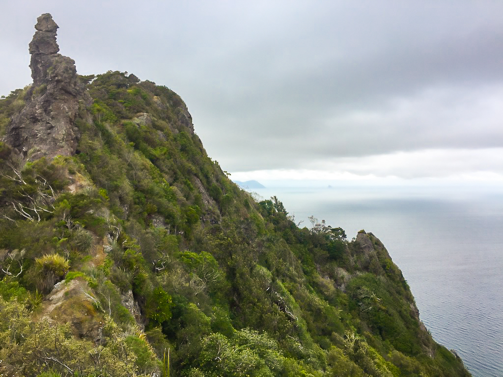 Back Towards Bream Head - Te Araroa