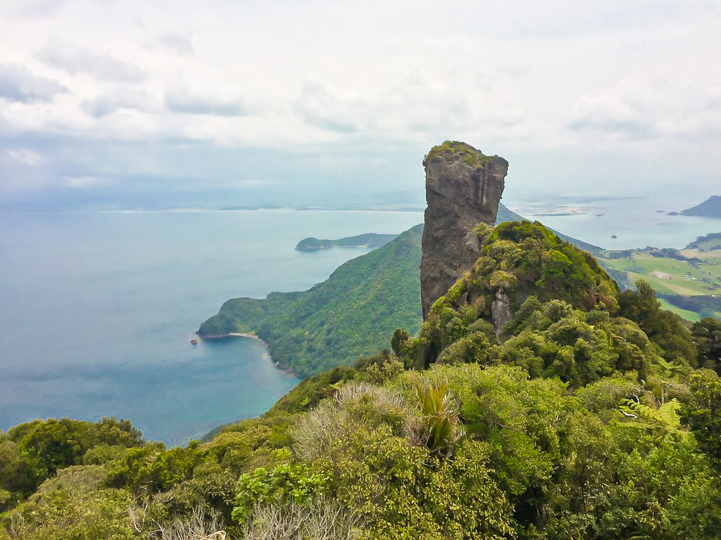 Bream Head Summit - Te Araroa