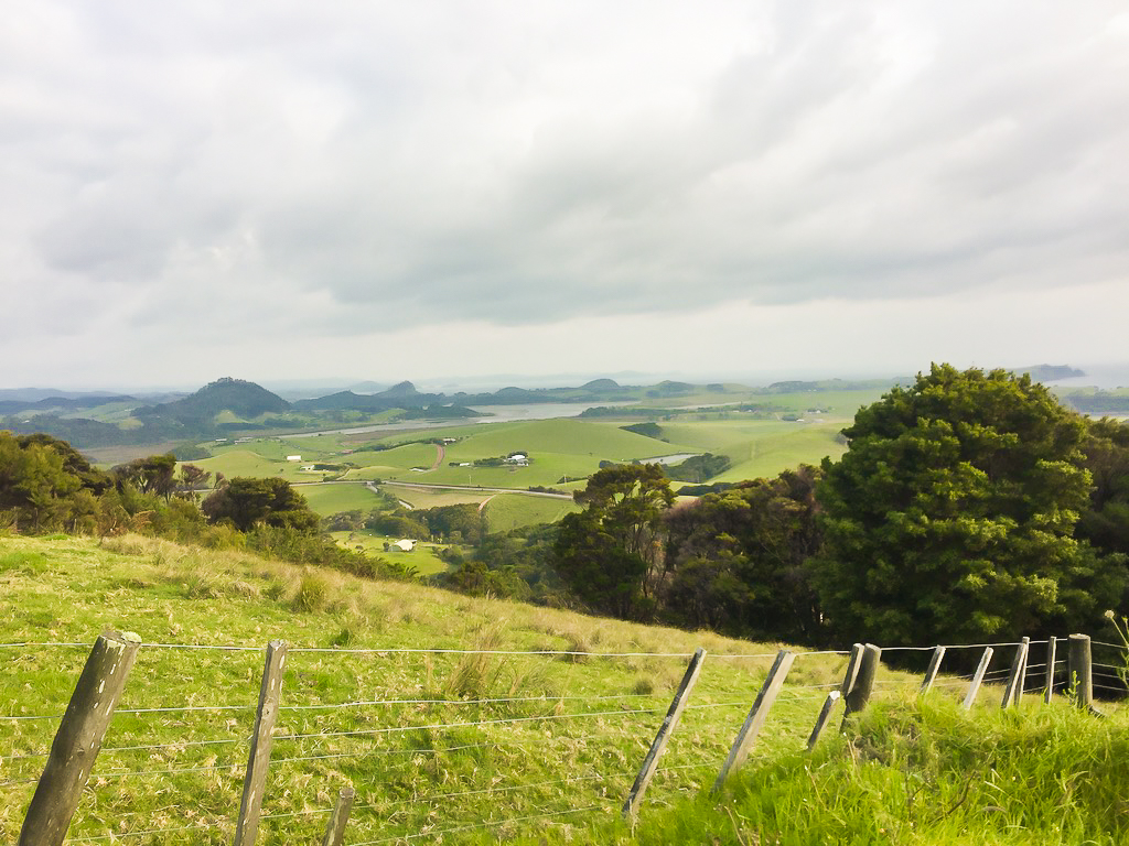 Kauri Mountain High Point - Te Araroa