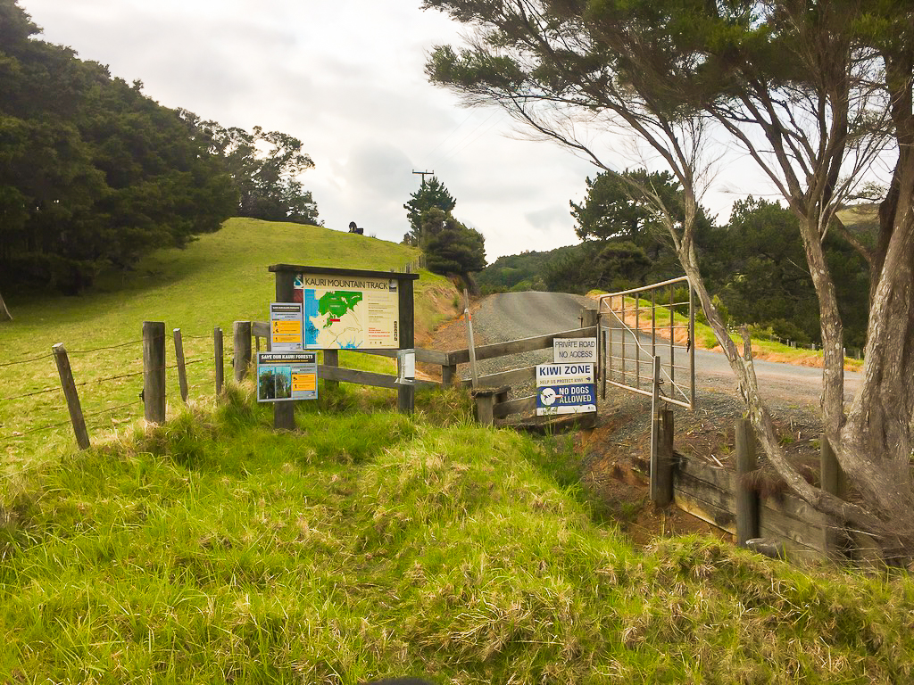 Kauri Mountain Track - Te Araroa