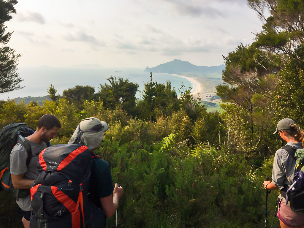 Kauri Mountain Viewpoint - Te Araroa