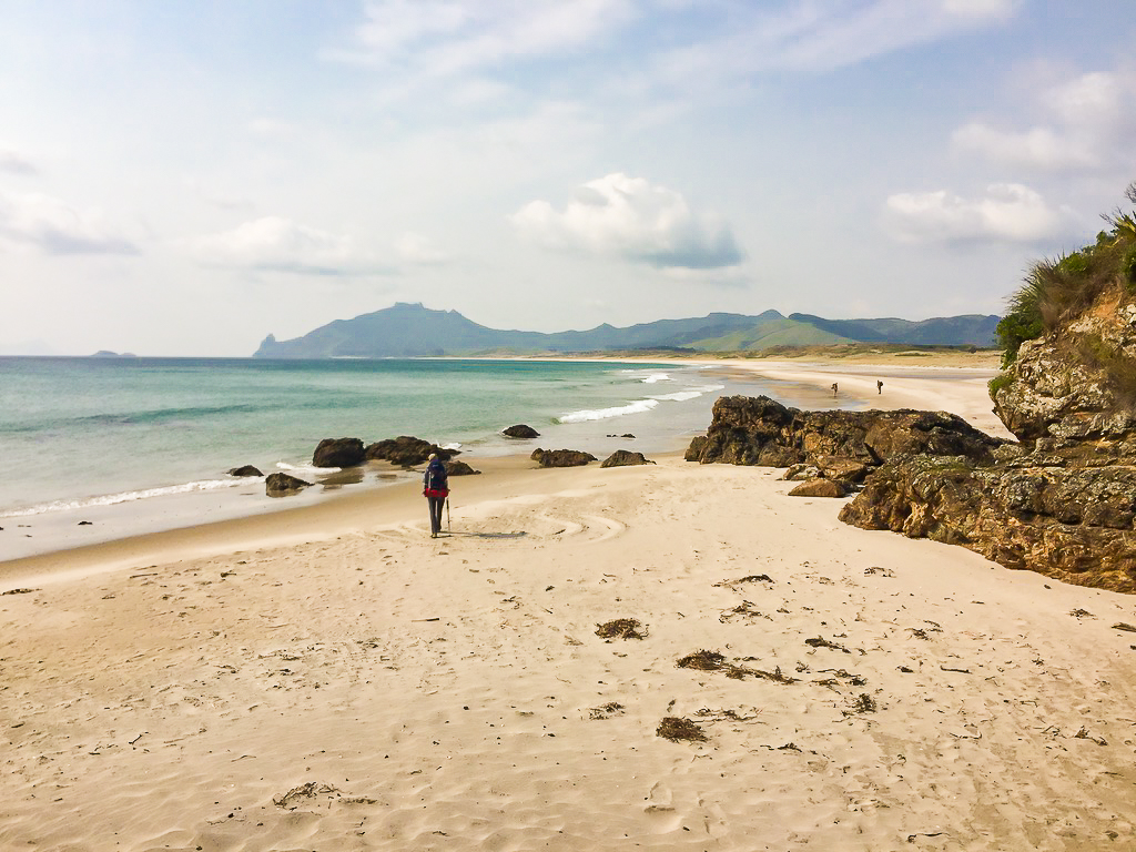 Ocean Beach - Te Araroa