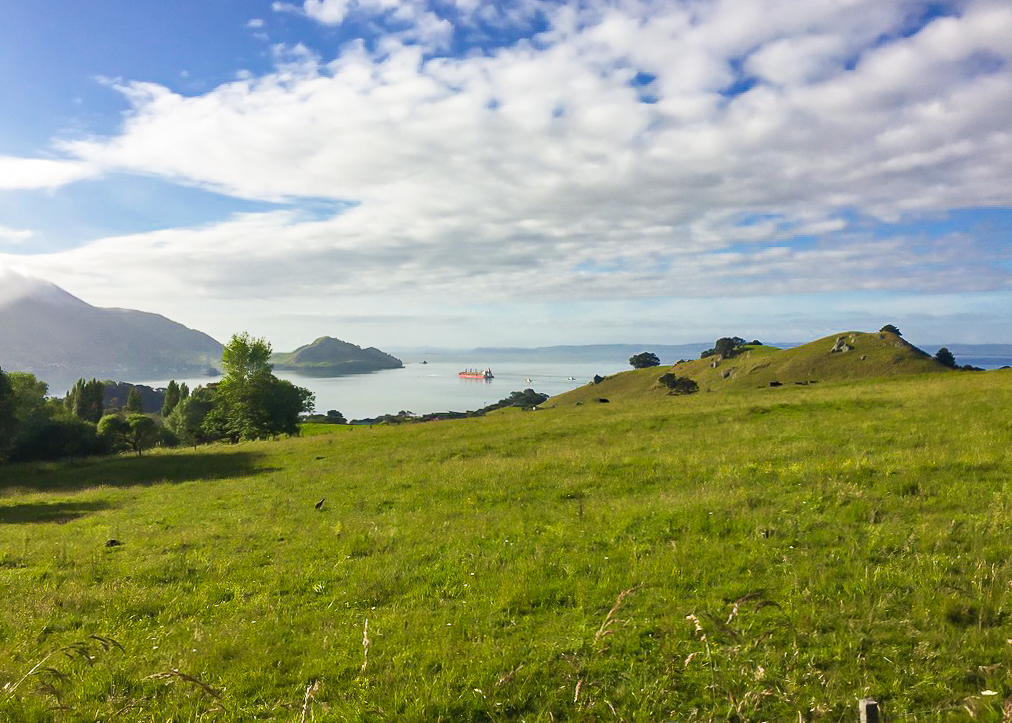 Pacific Ocean Estuary from Reotahi Bay - Te Araroa