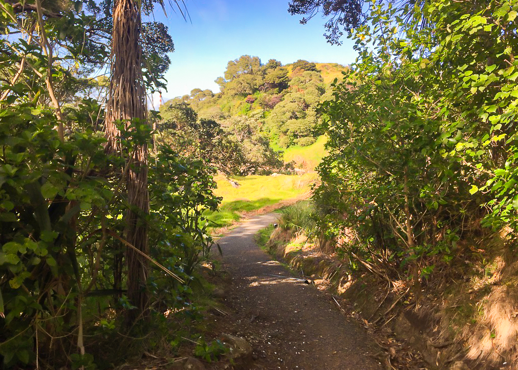 Reotahi Bay Coastal Walkway - Te Araroa