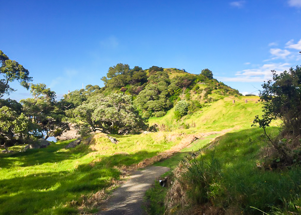 Reotahi Bay Walkway - Te Araroa