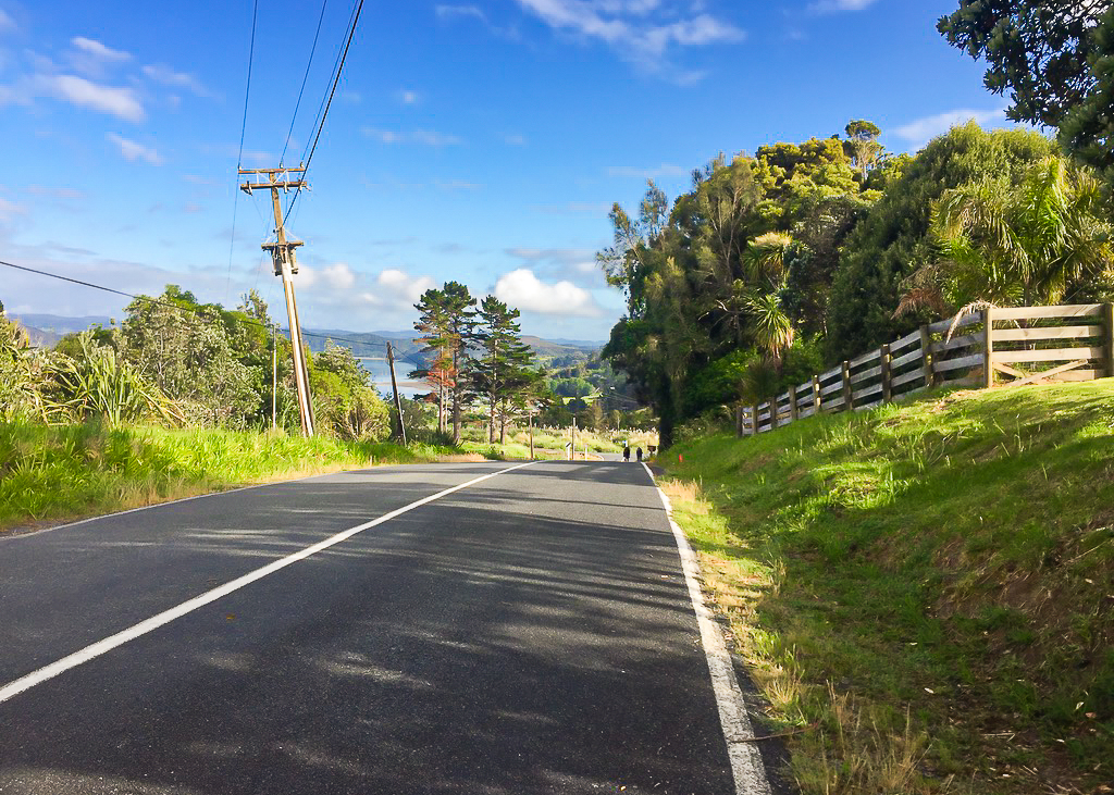 Road Walk to Reotahi Bay - Te Araroa