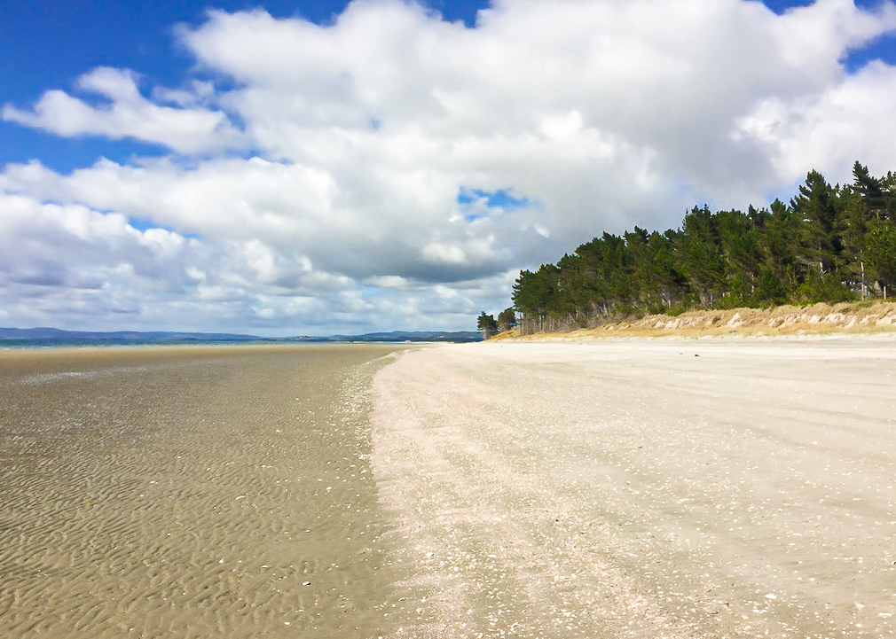 Ruakaka Beach - Te Araroa