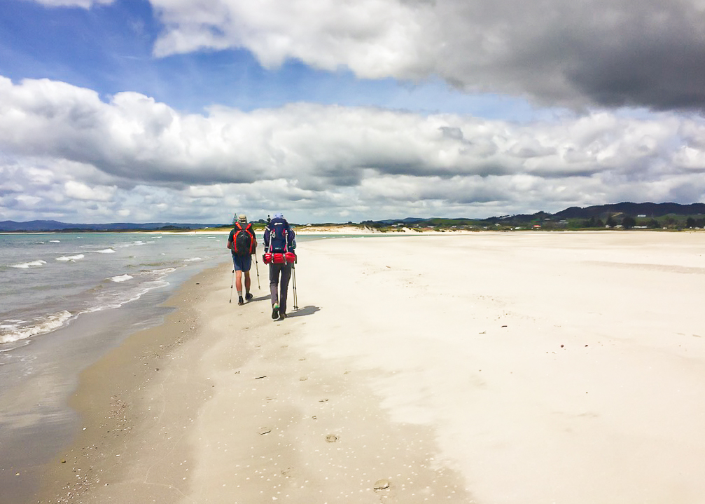 Ruakaka Beach Walk - Te Araroa