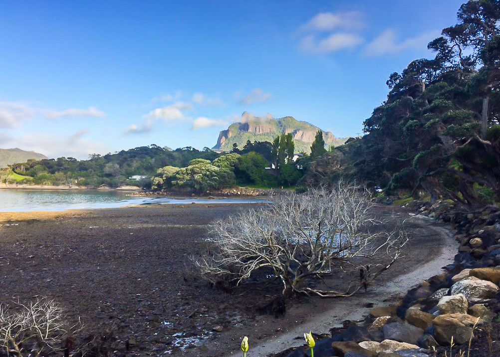 Taurikura Bay - Te Araroa