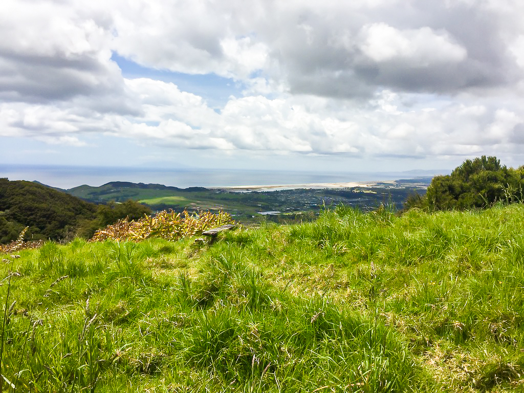 Langsview Track Viewpoint - Te Araroa