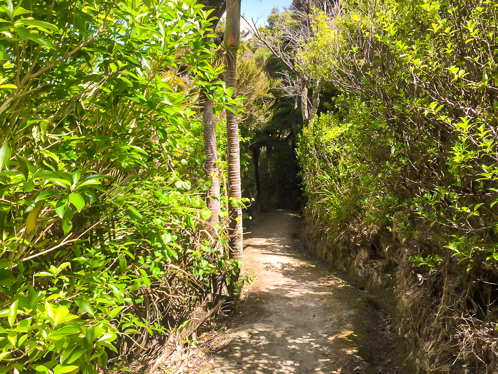 Mangawhai Cliffs Walkway Entrance - Te Araroa