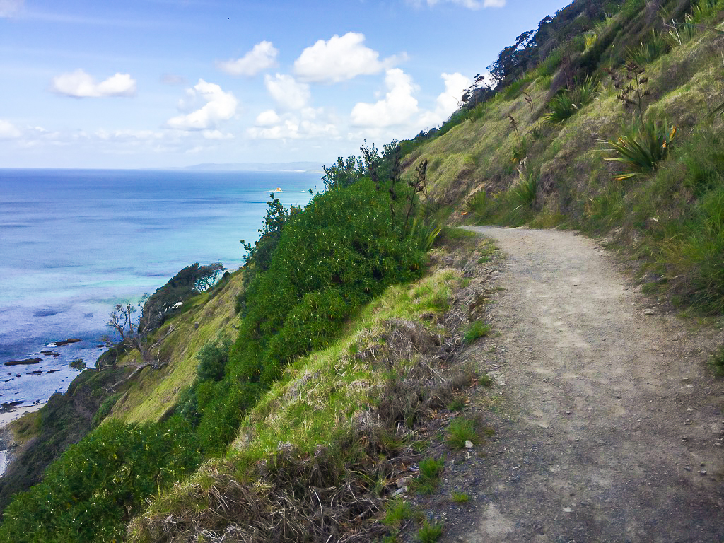 Mangawhai Cliffs Walkway Track - Te Araroa