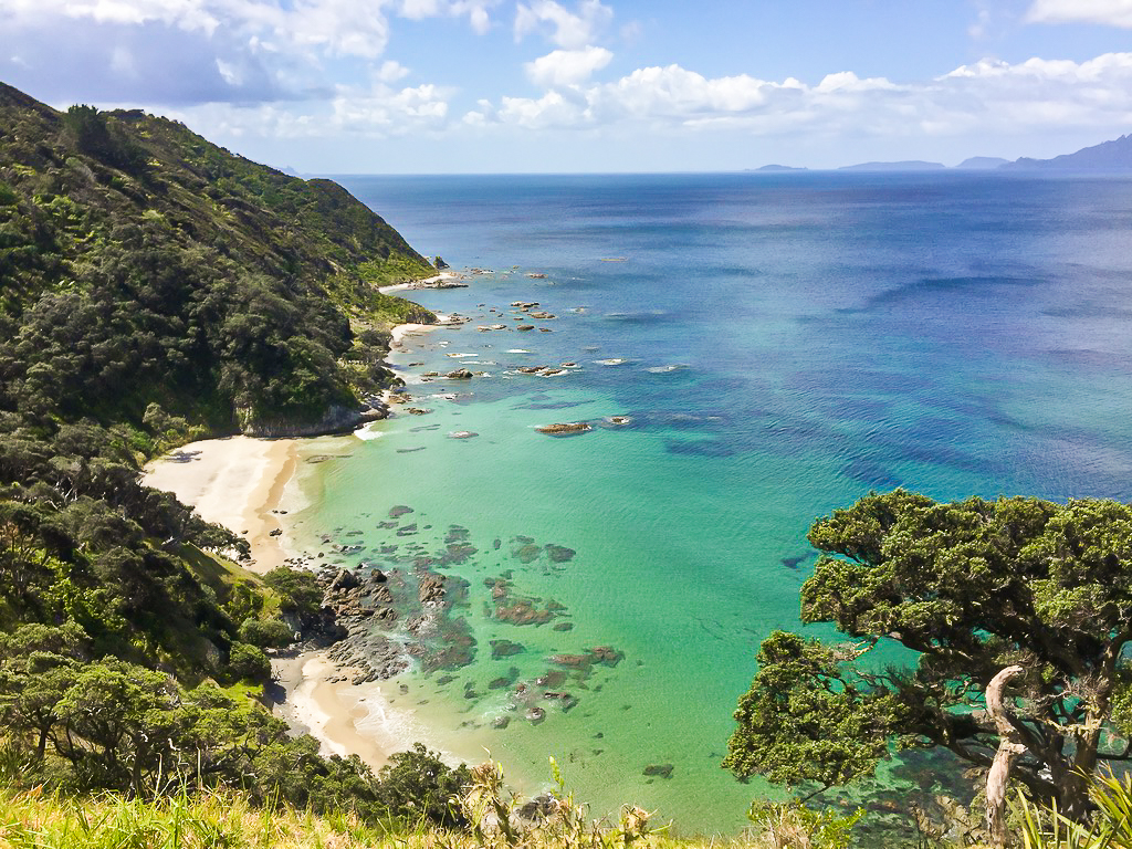 Mangawhai Cliffs Walkway View - Te Araroa